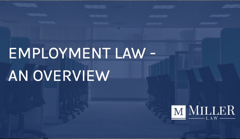 employment law overview